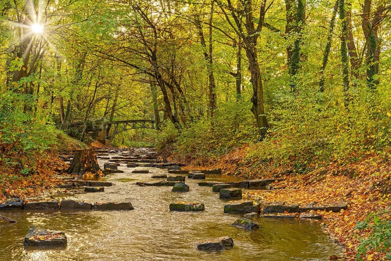 Glacis with flowing Bastau and sun in autumn Minden Germany