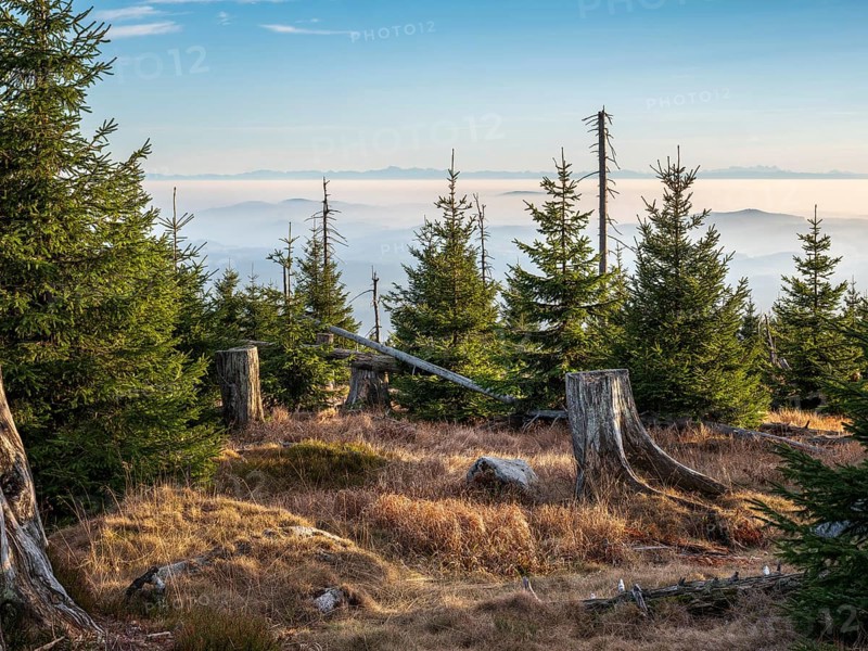 View from the Hochkammweg on the border to the Czech Republic, fog in the lowlands, the Alps in the background, the Dachstein massif on the right, Haidmühle, Bavarian Forest, Lower Bavaria, Bavaria, Germany