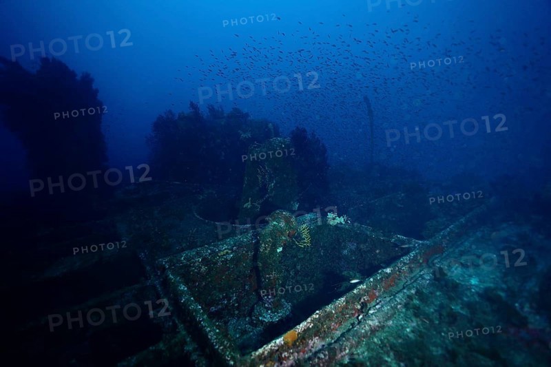 Abandoned shipwreck on the seabed, surrounded by fish, dive site Wreck le Donator, Giens peninsula, Provence Alpes Côte d'Azur, France