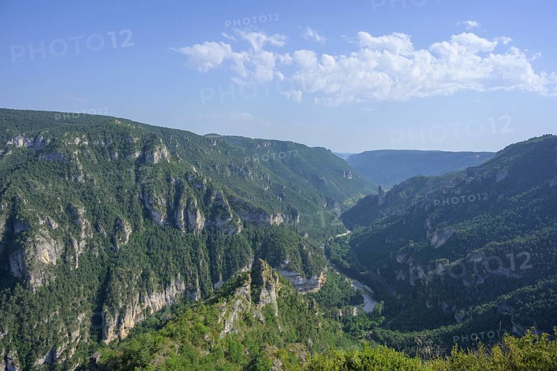 View from Point Sublime into the Tarn Gorge, Massegros Causses Gorges, Point Sublime, Département Lozère, France