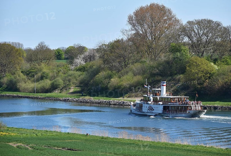 Paddle steamer, steamer, side-wheel steamer Freya sailing in spring in the Kiel Canal, Kiel Canal, Kiel Canal, Schleswig-Holstein, Germany