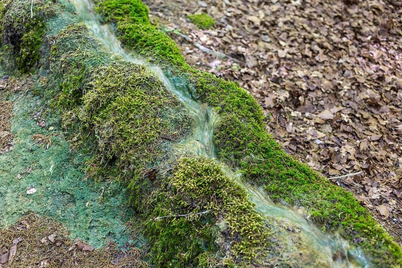Natural phenomenon in the forest, stone channel of Roschlaub, Scheßlitz, Upper Franconia, Bavaria, Germany