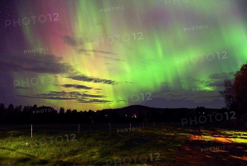 Impressive auroras in green and purple colours light up the night sky over a dark landscape, Vemdalen, Värmland, Sweden