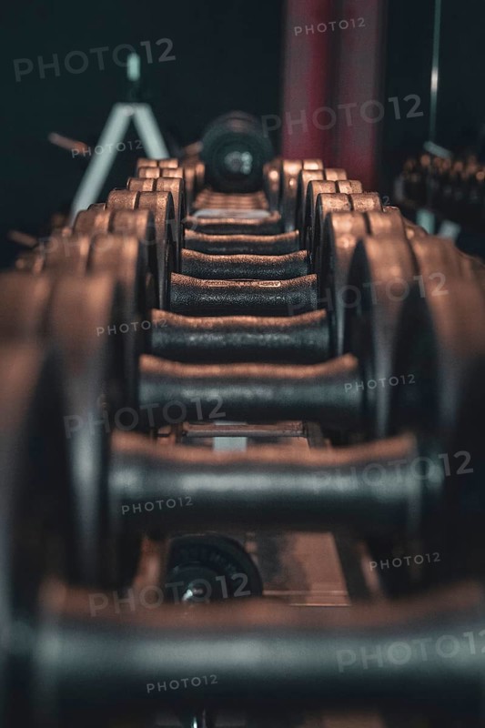 Lined up dumbbells in a fitness studio with a dark atmosphere, historic fitness studio, Bulls Fit, Mannheim, Germany