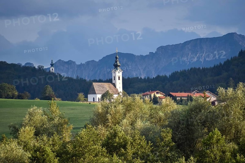 View from the Ainringer moss nature reserve to Ulrichshögl with the Lattengebirge mountains in the background in summer, Bavaria, Germany