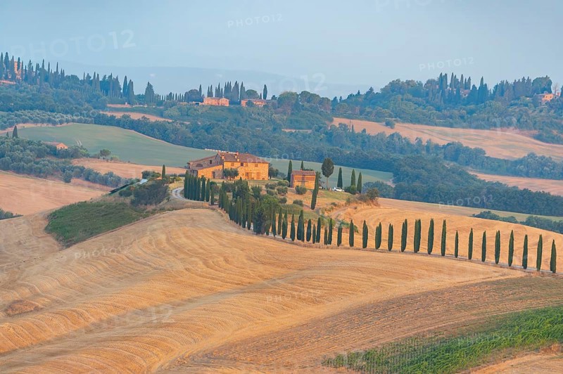 Typical Tuscan landscape in Crete Senesi with hills, trees, fields, cypresses and farm road in autumn, sunrise, Agriturismo Baccoleno, UNESCO World Heritage Site, Siena Province, Tuscany, Italy