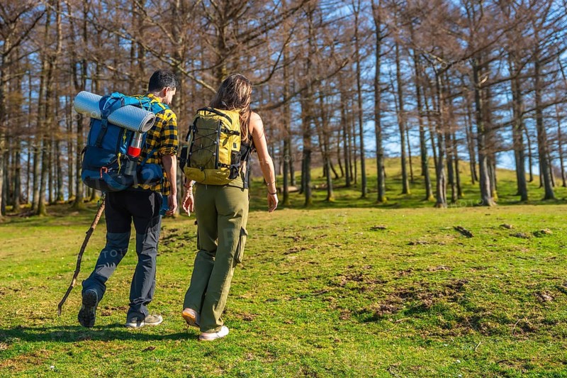 Hikers with backpacks trekking through a vibrant forest, soaking in the sunshine and enjoying the beauty of nature on a perfect day
