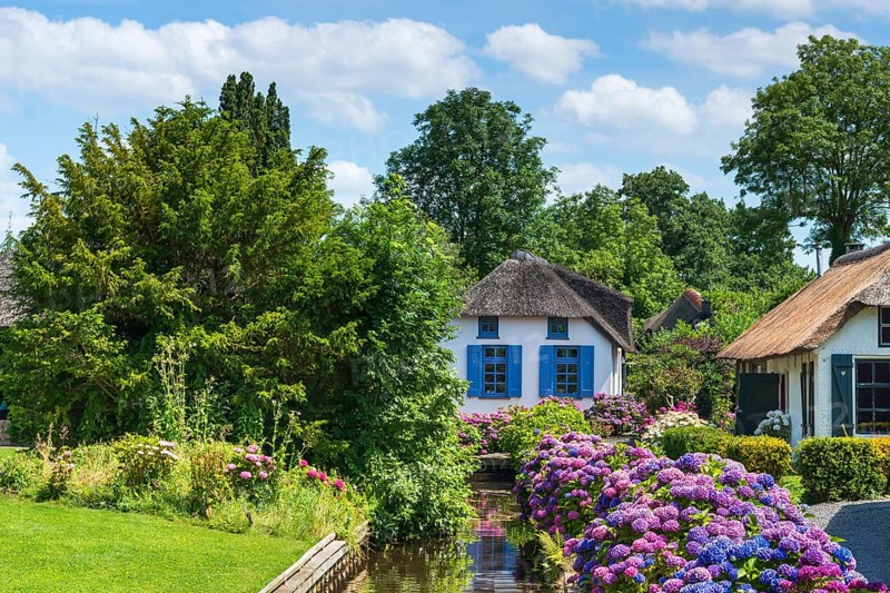 Thatched roof house, house, farmhouse, village, rural, flowers, hydrangeas, well-kept, blue sky, architecture, tourism, travel, attraction, Giethhoorn, Netherlands