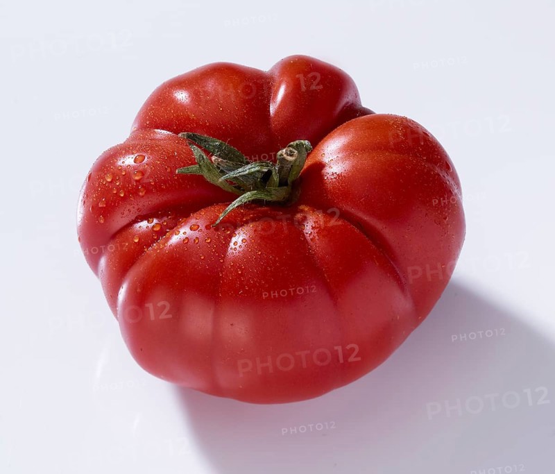 Tomato, tomato (Solanum lycopersicum), on white background, studio photo
