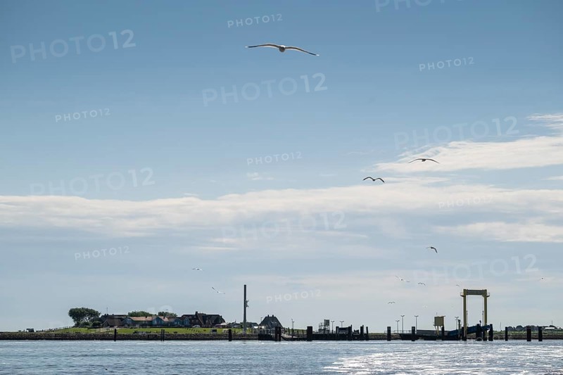Harbour, ferry pier, Hallig Hooge, Backenswarft, North Frisia, Schleswig-Holstein, Germany