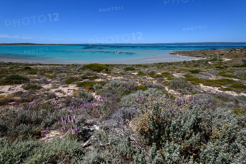 Landscape on Dirk Hartog Island, Dirk Hartog Island National Park, named after the Dutch navigator of the same name, Shire of Shark Bay, State of Western Australia, Australia