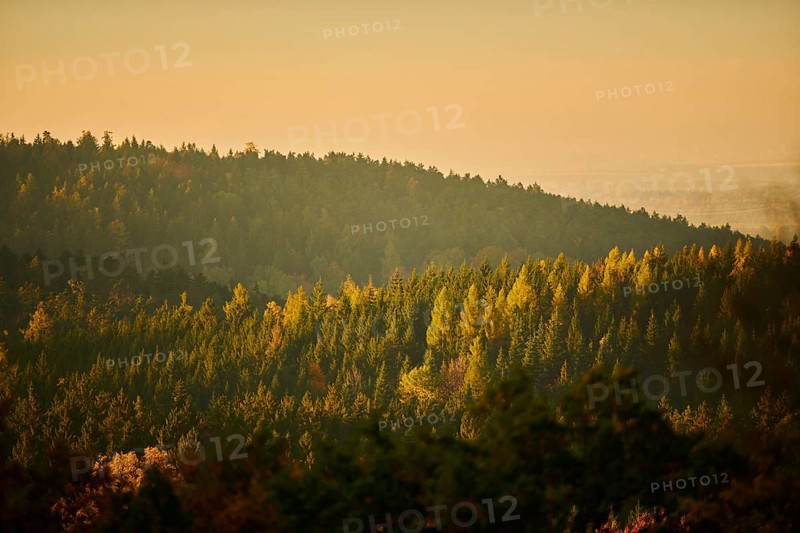 View over the trees and forest of the front bavarian forest in autumn near Wiesent, Upper Palatinate, Bavaria, Germany