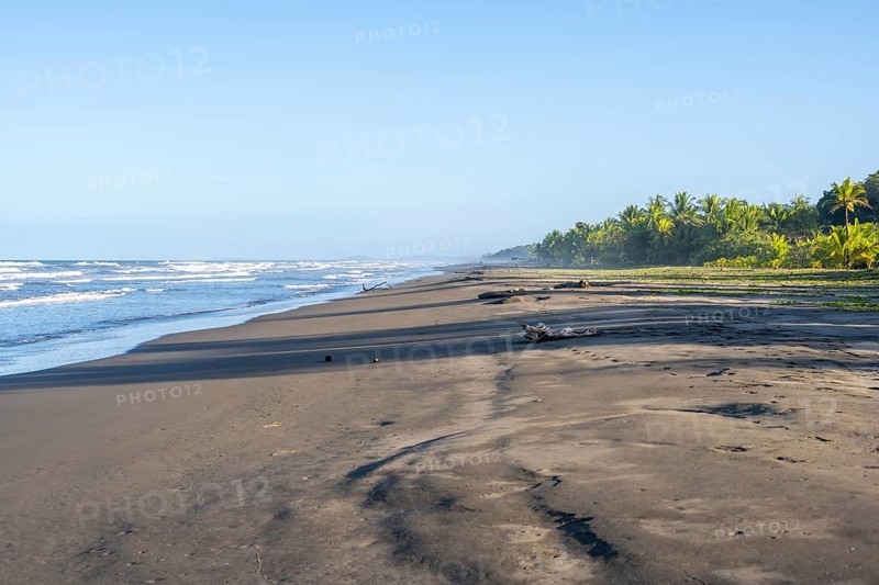 Wide sandy beach and sea, Caribbean coastal landscape with palm trees, Limón province, Costa Rica