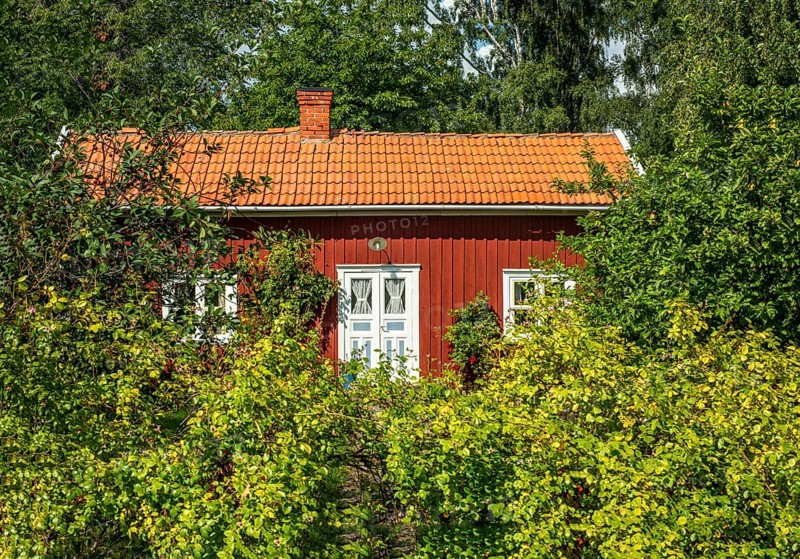 Red cottage among trees and bushes on the island of Visingsö, Lake Vättern, Jönköping municipality, Småland, Sweden, Scandinavia