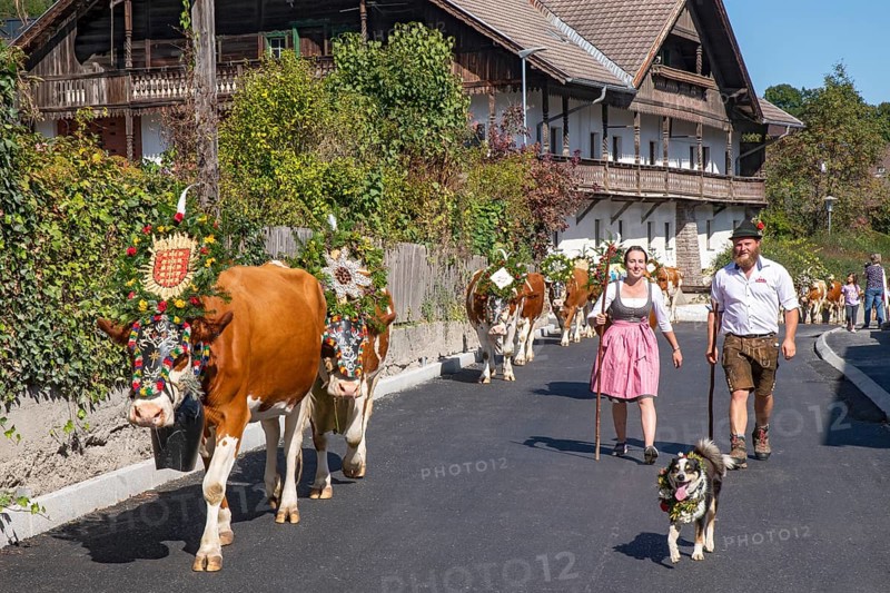 Alpine pasture descent through the village of Terfens, from the Eng-Alm through the Karwendel mountains into the Inn Valley, Terfens, Tyrol, Austria