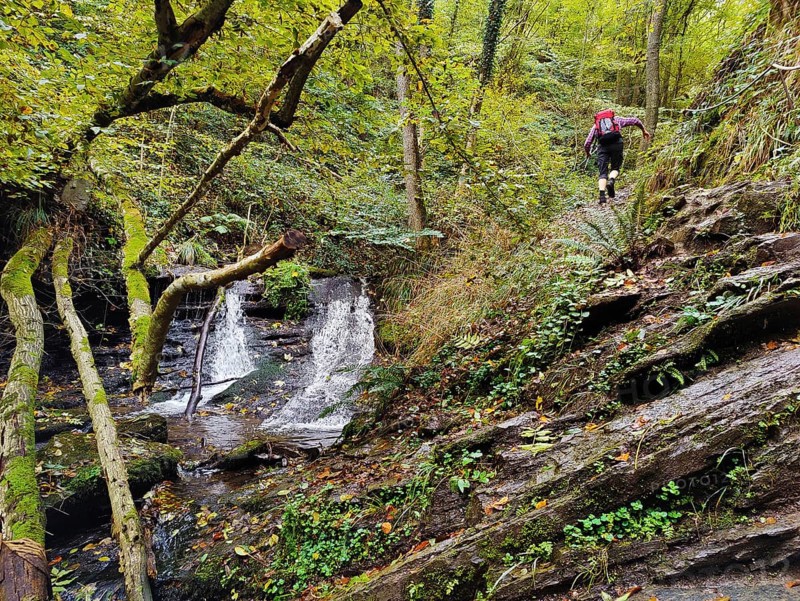 Hiker in the Hölzbachklamm gorge with a small waterfall, municipality of Morbach, Rhineland-Palatinate, Hunsrück, Germany