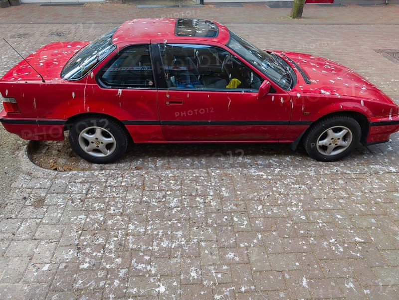 Red car full of bird droppings