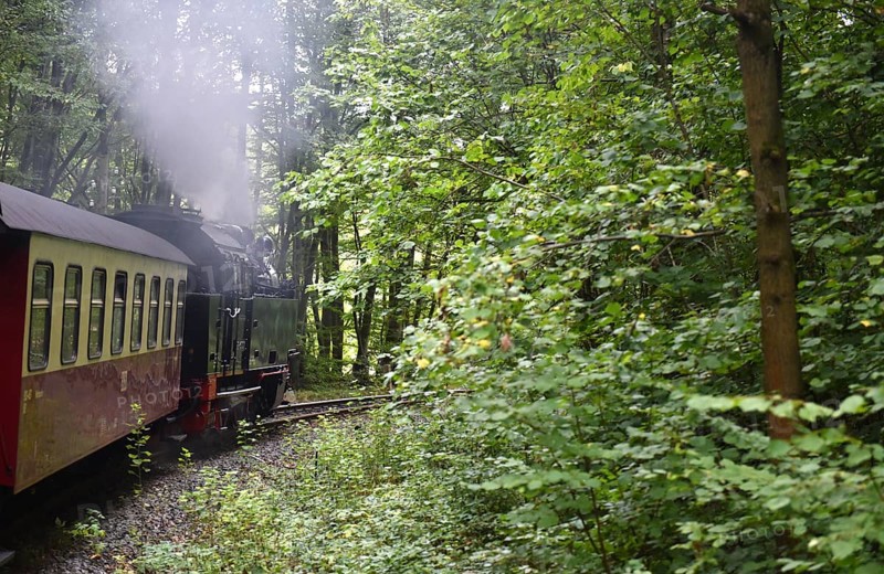 Selketalbahn, Harzer Schmalspurbahn, Brockenbahn runs through the Harz Mountains, Saxony-Anhalt, Germany