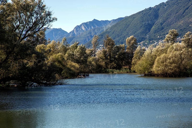 Lake, Bolle di Magadino nature reserve in Magadino, Ticino, Ticino, Switzerland