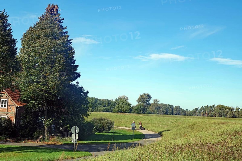 Cycle path along a dyke, green fields and trees under a blue sky on a clear day, autumn, cycle tourism, Elbe, Damnatz, Wendland, Lower Saxony, Germany