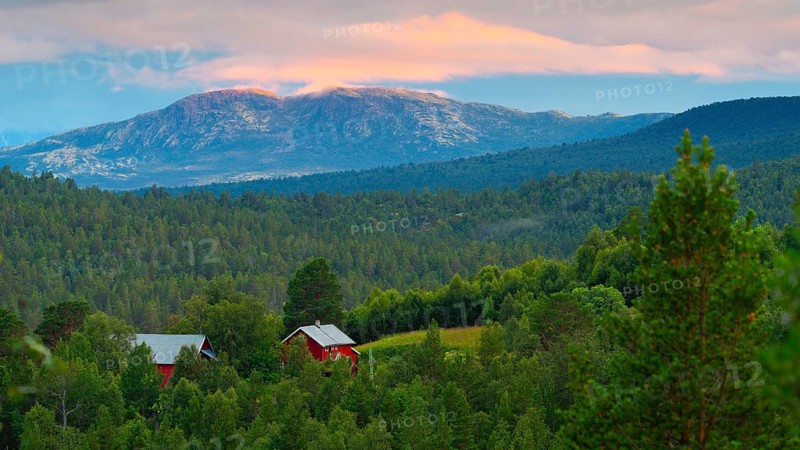 View of Dovrefjell, mountain, landscape photo, landscape format, fir forest, red wooden house, summer, evening light, Savalen Hesetesnter, Tynst, Innlandet, Norway