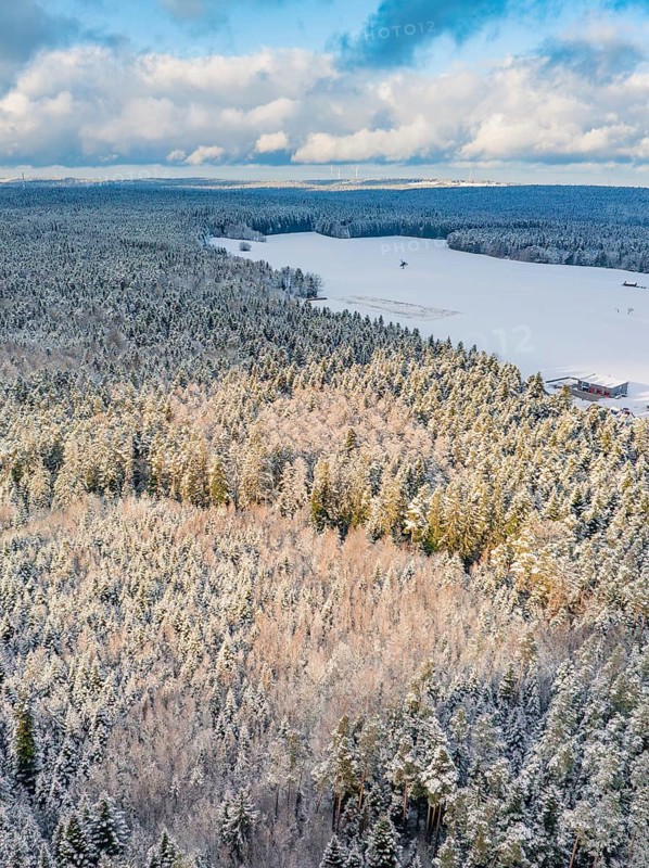 Snowy forest with fields, blue sky with clouds, cool, calm and natural atmosphere, Oberreichenbach, Black Forest, Calw County, Germany
