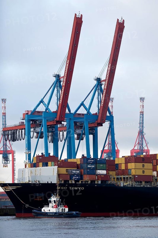 Small tug VB Perfect with large container ship MSC Tokyo at the Burchardkai container terminal in the Port of Hamburg, Germany