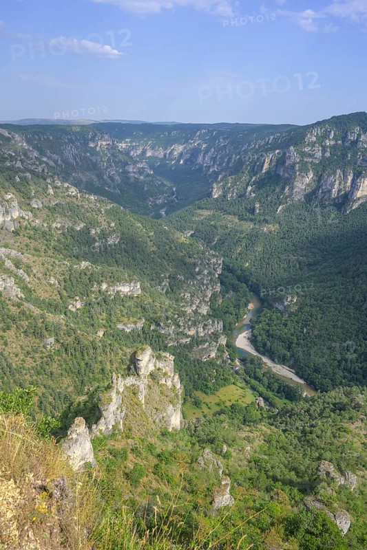 View from Point Sublime into the Tarn Gorge, Massegros Causses Gorges, Département Lozère, France