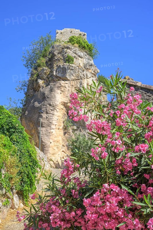 Red flowering rhododendron behind a stone tower in Châteaudouble, Département Var, France