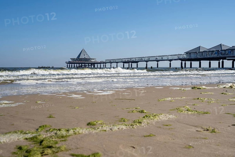 Pier, seaweed on the beach, Heringsdorf, Usedom Island, Baltic Sea, Mecklenburg-Western Pomerania, Germany