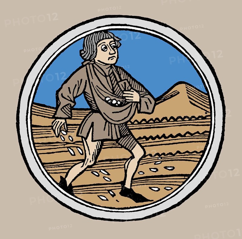 Sowing the seed, Woodcut, Augsburg, Germany, 1480, digitally restored