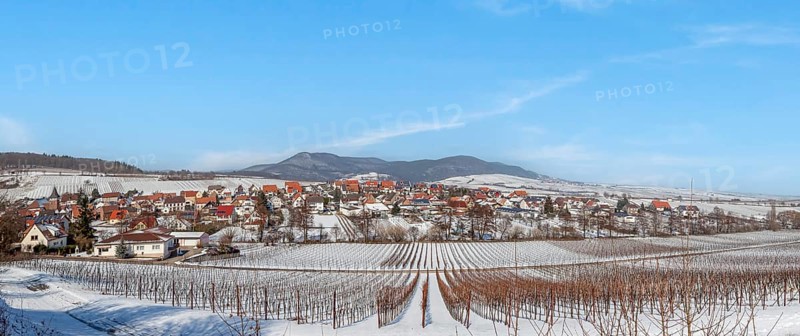 View over snow-covered vineyards to the wine village of Ranschbach, Southern Palatinate, Palatinate, Rhineland-Palatinate, Germany