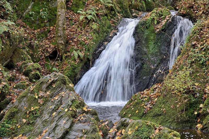 Waterfall in the wild Endert Valley, Moselle, Rhineland-Palatinate, Germany