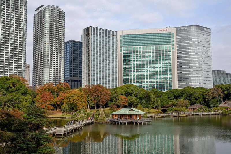 Hamarikyu Park, Imperial Garden of Hama Residence, in front of Skyline, Chuo District, Tokyo, Honshu Island, Japan