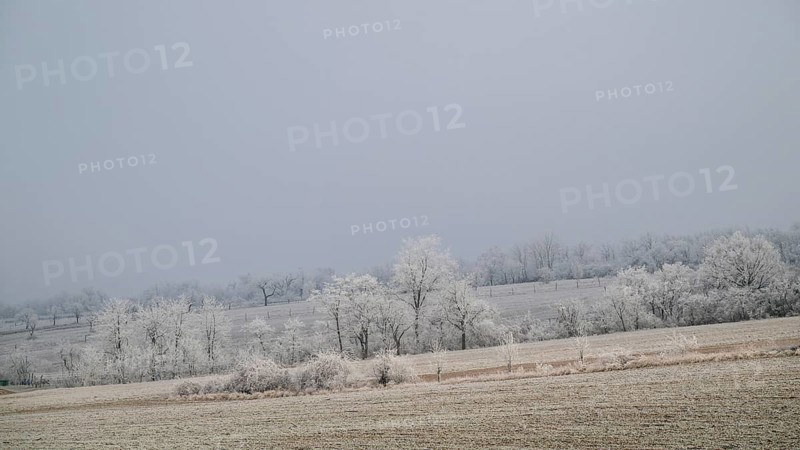 Winter landscape with hoarfrost, Weinviertel near Hadres, Lower Austria, Austria