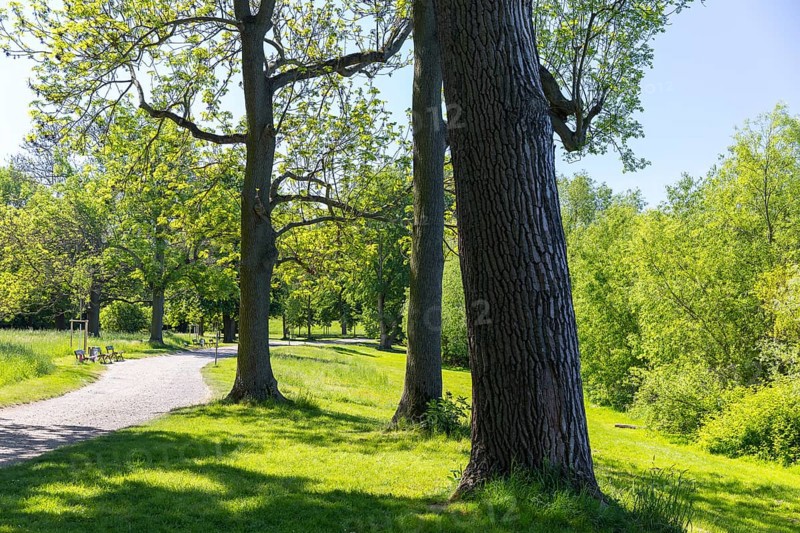 In Auensee Park, Leipzig, Saxony, Germany