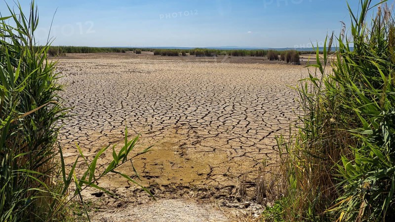 Heavily desiccated soil of Lake Neusiedl, Lake Neusiedl-Seewinkel National Park, Illmitz, Burgenland, Austria