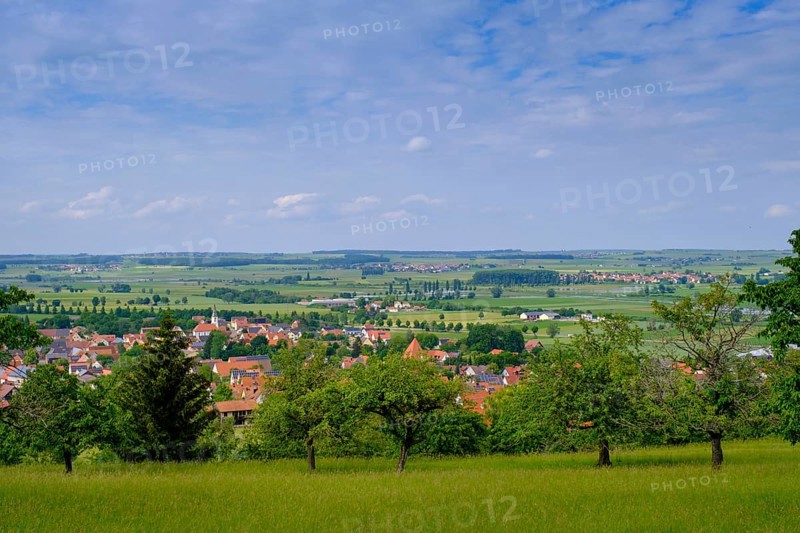 In the Buchleite nature reserve, Markt Berolzheim, Altmühltal, Middle Franconia, Franconia, Bavaria, Germany