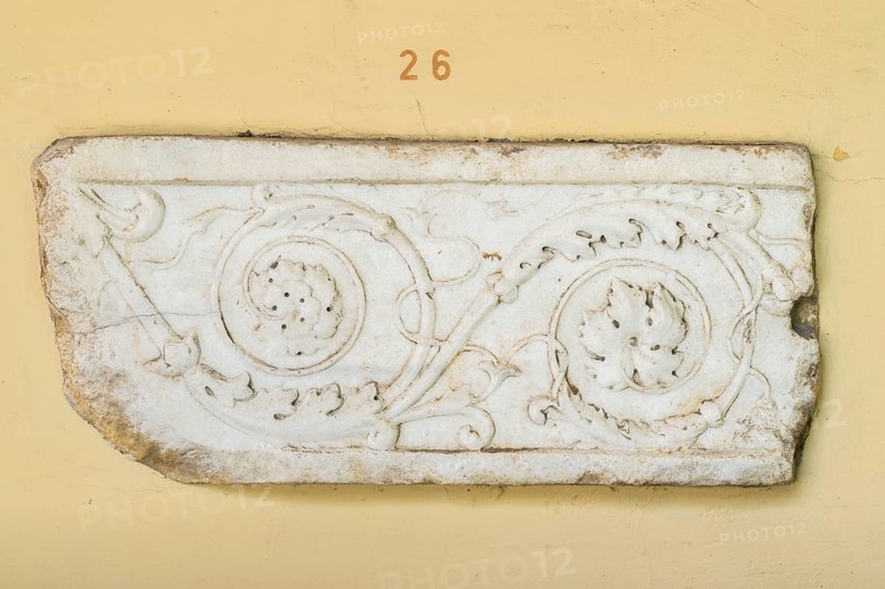 Fragment of a frieze slab with continuous scrollwork, white marble, Municipal Lapidarium, City of Stuttgart, Baden-Württemberg, Germany