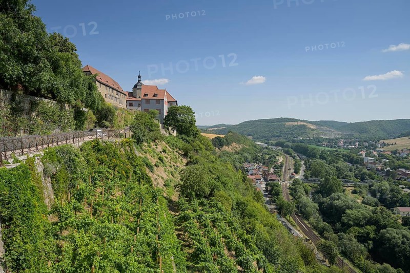 Old castle, vineyards, panorama, Dornburg, Thuringia, Germany
