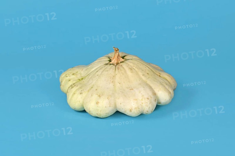 Light yellow Pattypan squash with round and shallow shape and scalloped edges on light blue background