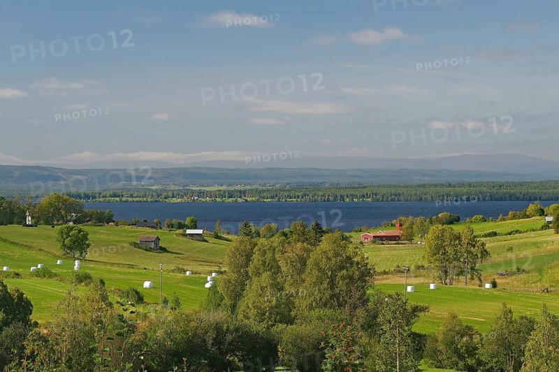A wide, green landscape with meadows, fields and groups of trees in front of a lake and blue sky, Storsjön, Jämtland, Sweden