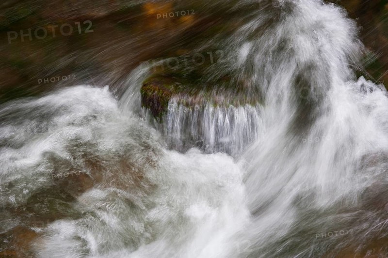 Mountain stream, Zellerache flows over stones through the Helenental, Mondsee, Mondseeland, Salzkammergut, Upper Austria, Austria