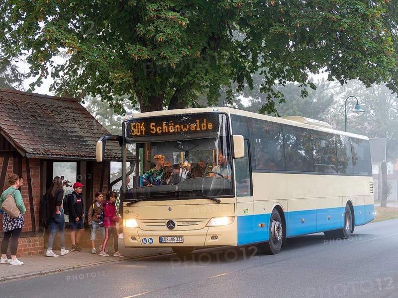School bus in the morning mist at the bus stop, Schlepzig, Spreewald, Brandenburg, Germany