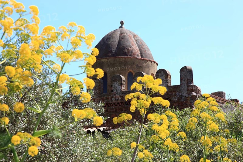 Church of Santi Pietro e Paolo d Agro is a Norman building near Casalvecchio Siculo, Church of Peter and Paul, dome and in front of it flowering giant fennel (Ferula communis), Sicily, Italy