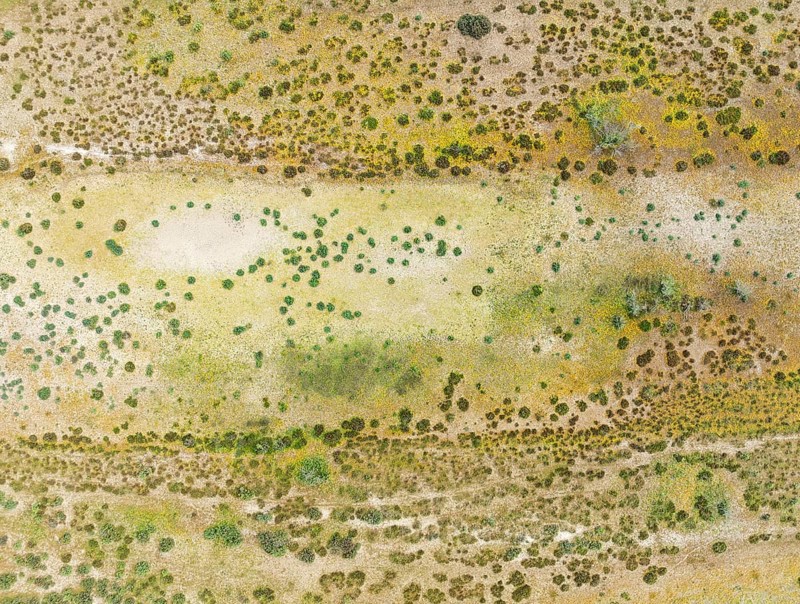 Detail of marshland near Sanlúcar de Barrameda. Aerial view. Drone shot. Cádiz province, Andalusia, Spain