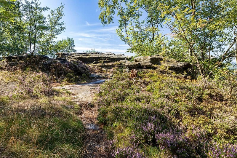 On the Großer Zschirnstein, Reinhardtsdorf-Schöna, Saxon Switzerland, Saxony, Germany
