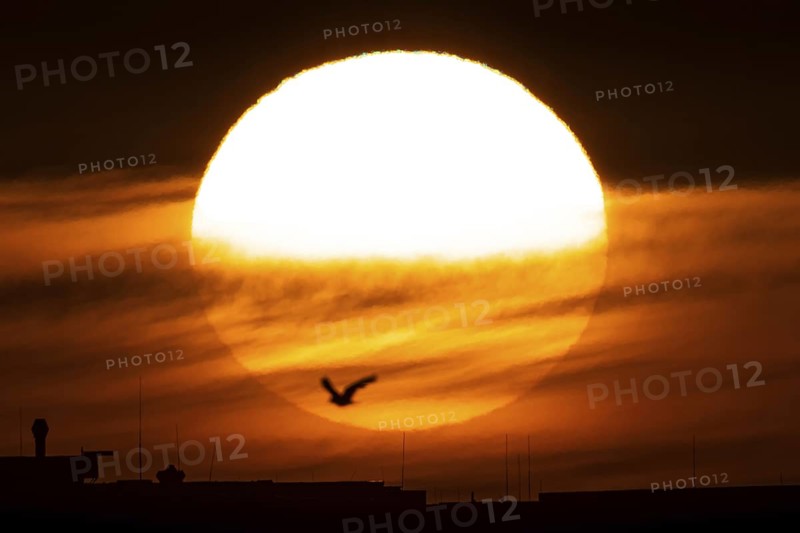 The sun rises in the morning behind the Frankfurt district of Riedberg, Riedberg, Frankfurt am Main, Hesse, Germany