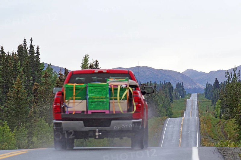 Red lorry with bulky goods drives up and down a straight road lined with forests and mountains, Richardson Highway, Alaska, USA