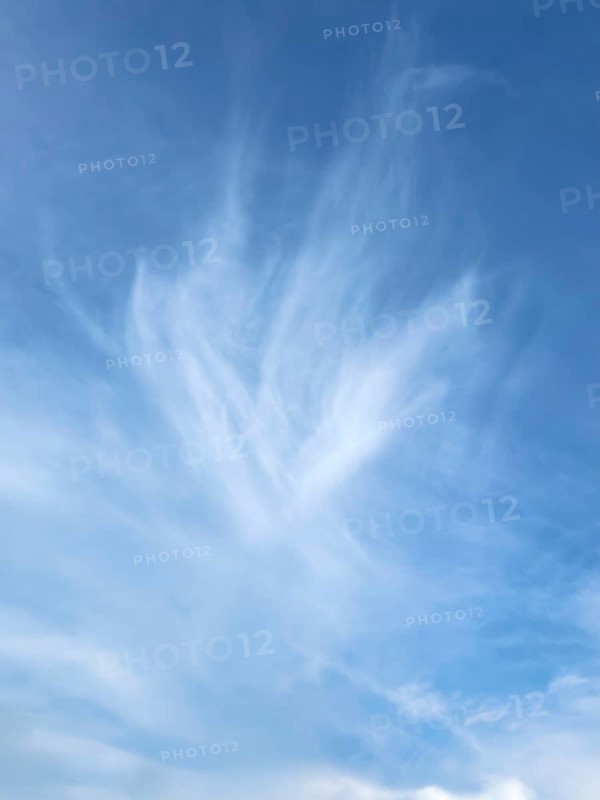Cirrus veil cloud Feather cloud in the shape of a flower in blue sky, international